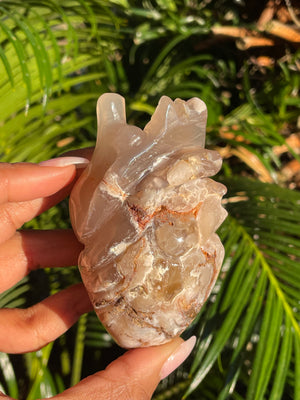 Anatomical Human Heart Carving