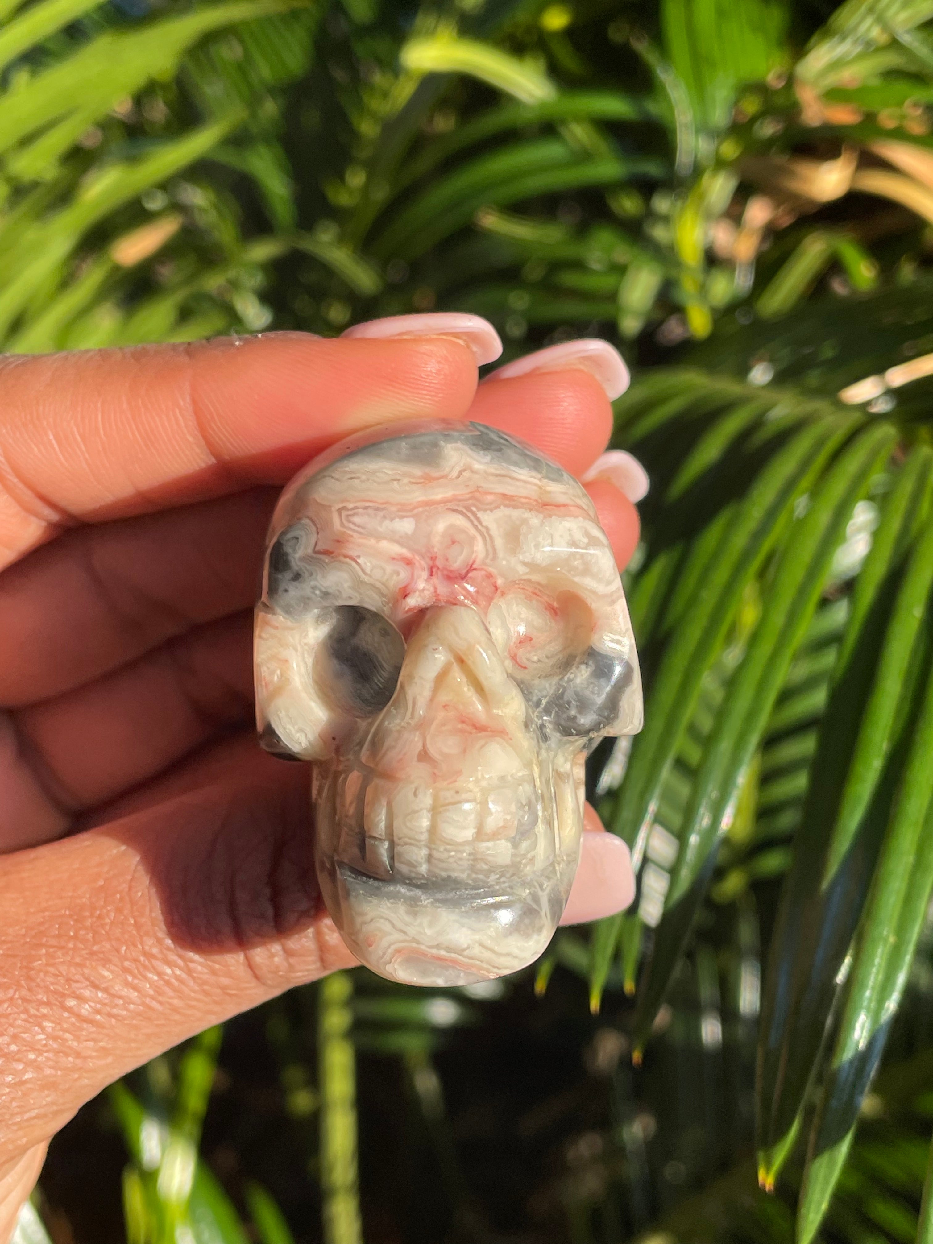 Crazy Lace Agate, Skull