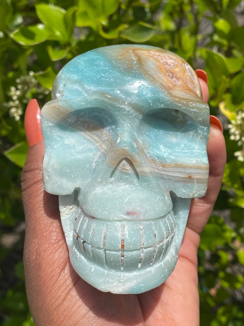 Caribbean Calcite Skull (1.11 lbs)