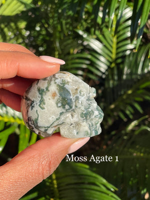 Moss Agate, Skulls