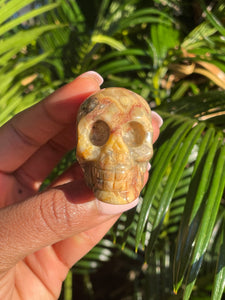 Mexican Lace Agate, Skull