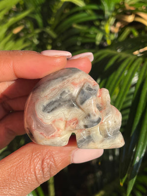Crazy Lace Agate, Skull